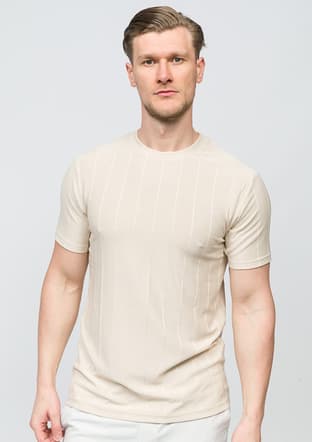 25Yjeeo04203 Erkek Bej Bisiklet Yaka T-shirt - 1