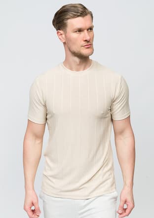 25Yjeeo04203 Erkek Bej Bisiklet Yaka T-shirt - 2