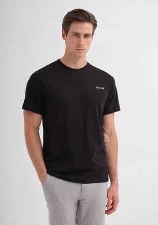 25Yceeo04233 Erkek Siyah Bisiklet Yaka T-shirt - 2