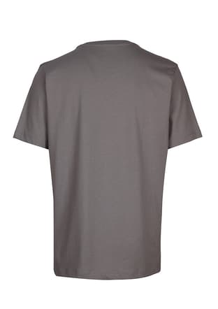 B34T10004 Erkek Gri Bisiklet Yaka T-shirt - 2