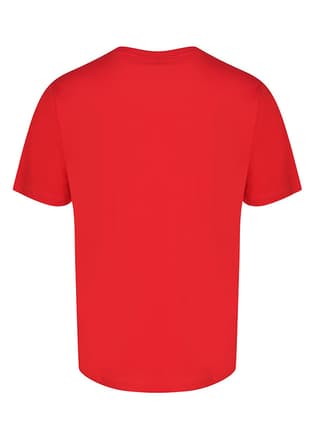911865-9829 Erkek Baskılı T-Shirt - 3