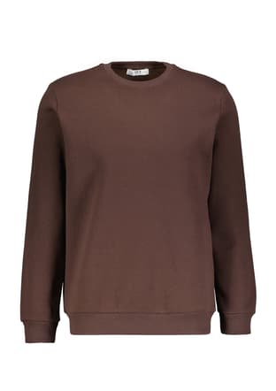 Sw2013700029 Erkek Kahverengi Sweatshirt - 1