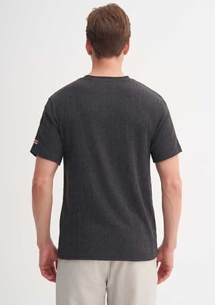 40500 Erkek Antrasit Bisiklet Yaka T-shirt - 2