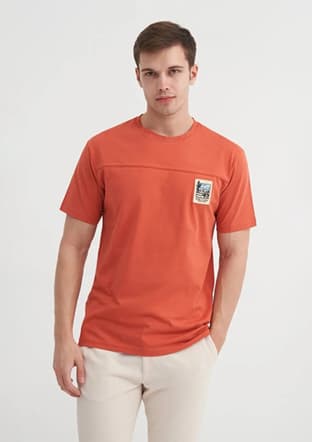 40850 Erkek Turuncu Bisiklet Yaka T-shirt - 2