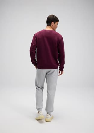 Em579 Erkek Çok Renkli Sweatshirt - 2
