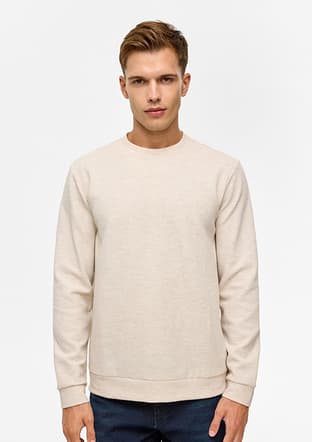 Sw2013700005 Erkek Bej Sweatshirt - 1