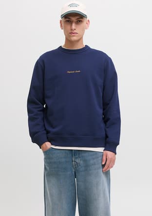 12282893 Erkek Sweatshirt - 1