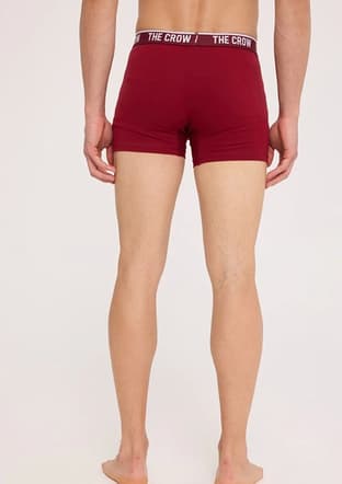 Tc1918 Unisex Yetişkin Çok Renkli Boxer - 2