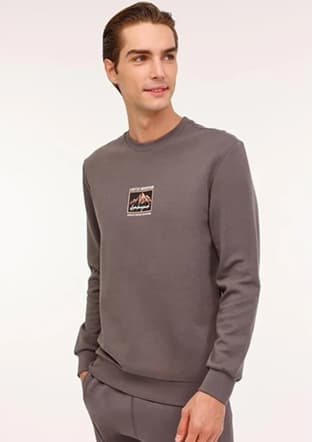 A10188951308010 Erkek Gri Sweatshirt - 1