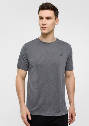 B34T10051 Erkek Gri Regular T-shirt - 1