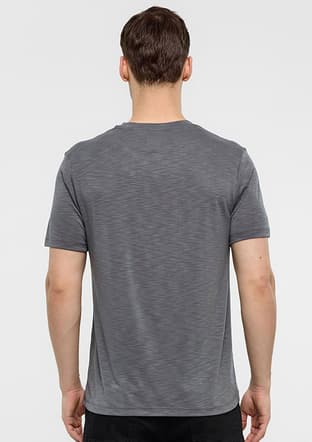 B34T10051 Erkek Gri Regular T-shirt - 2