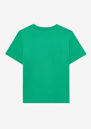 Sk2510112-300 Erkek Çocuk Yeşil Baskılı T-shirt - 2