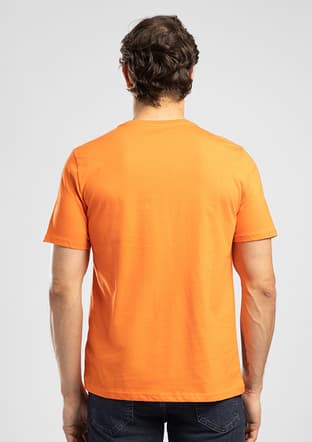 262 Lcm 242033 Erkek Turuncu O Yaka T-shirt - 2