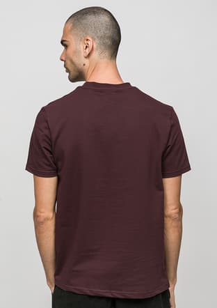 Joe44935 Erkek Bordo Bisiklet Yaka T-shirt - 3