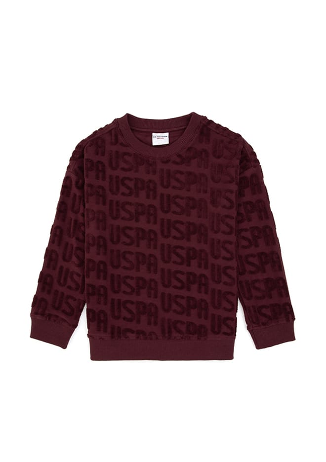 T117164768.2235943 Erkek Çocuk Bordo Sweatshirt