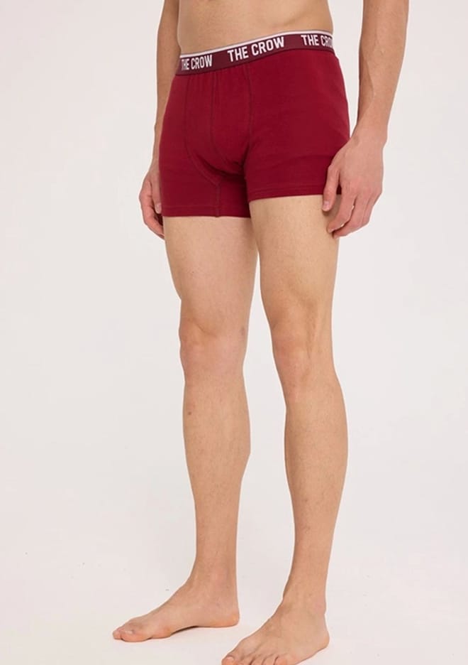 Tc1918 Unisex Yetişkin Çok Renkli Boxer