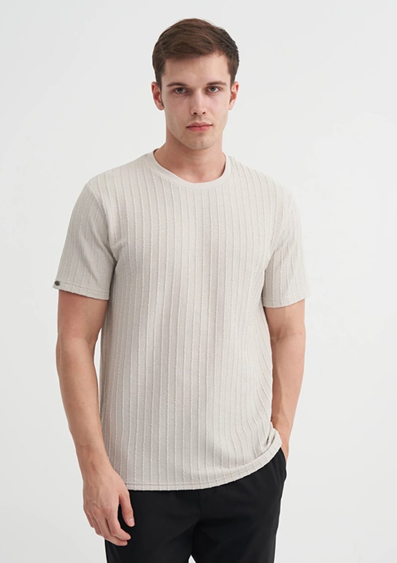 25Yceeo04051 Erkek Gri Bisiklet Yaka T-shirt