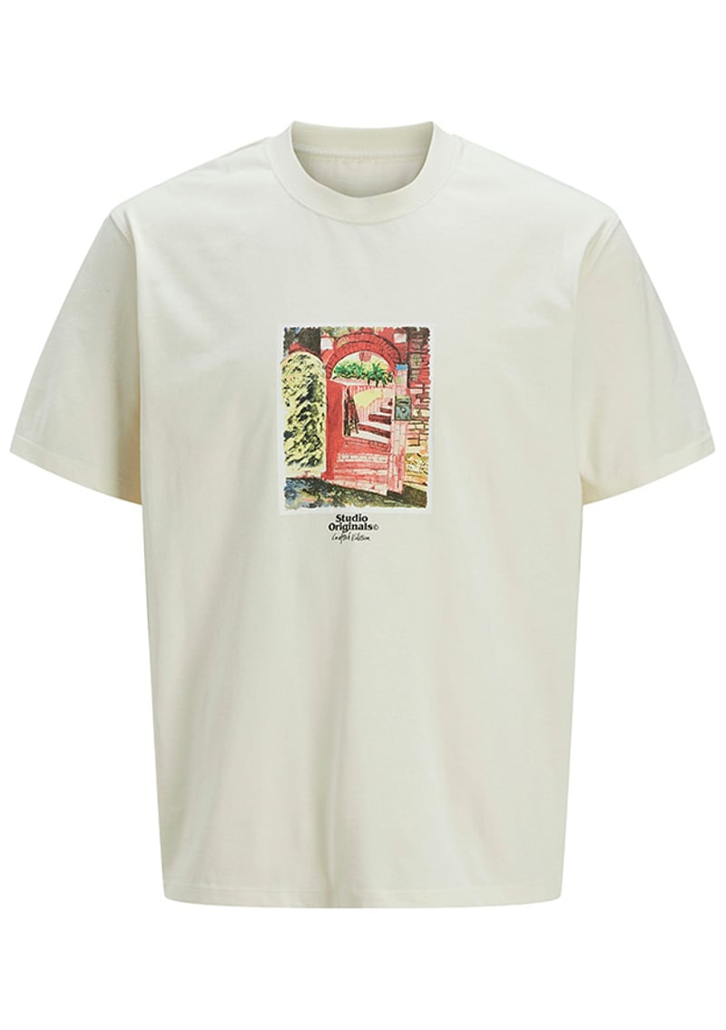 12273494 Erkek Beyaz Baskılı T-shirt