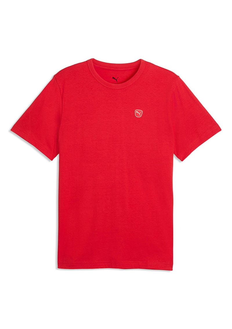 69570311 Erkek Çok Renkli Baskılı T-shirt
