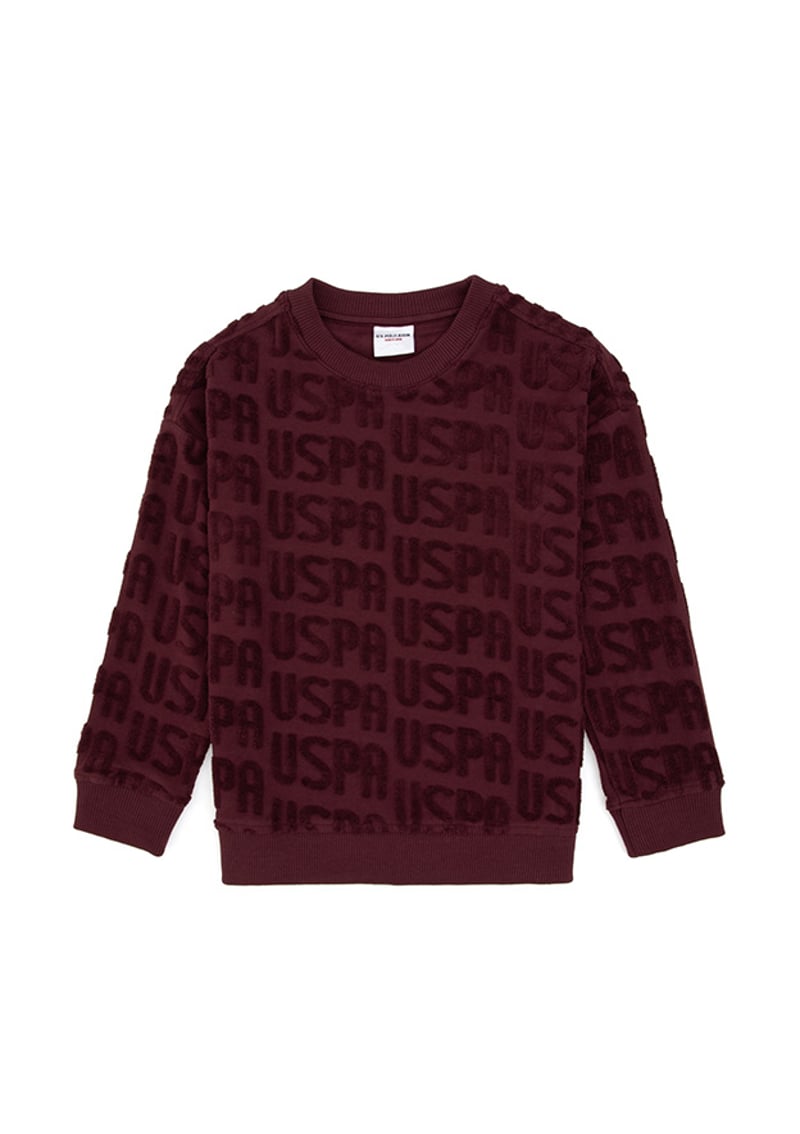T117164768.2235943 Erkek Çocuk Bordo Sweatshirt