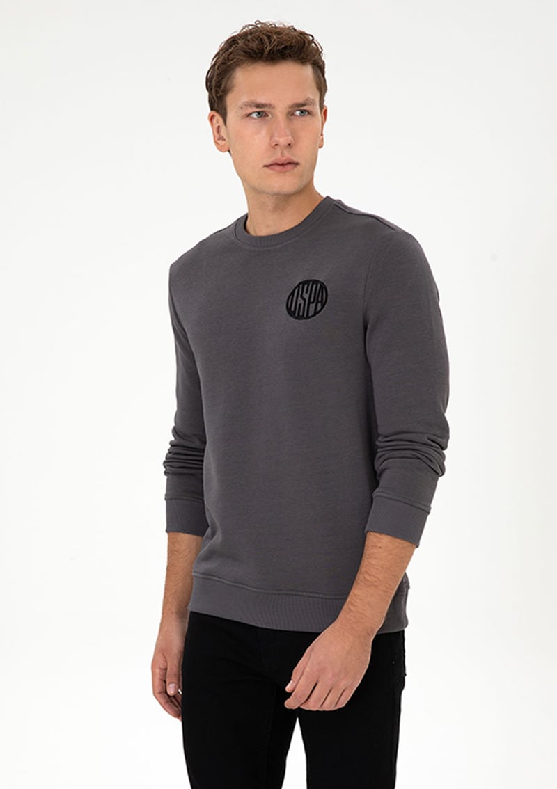 T117164407.2237377 Erkek Gri Sweatshirt