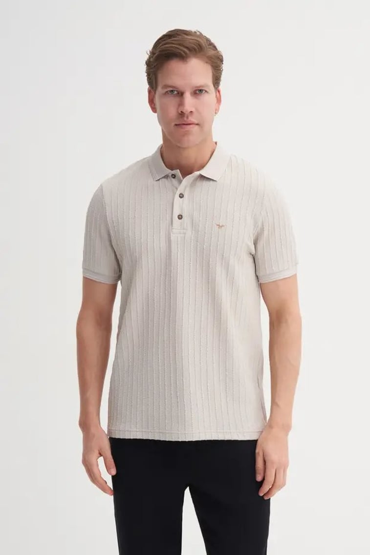 40520 Erkek Gri Polo Yaka T-shirt