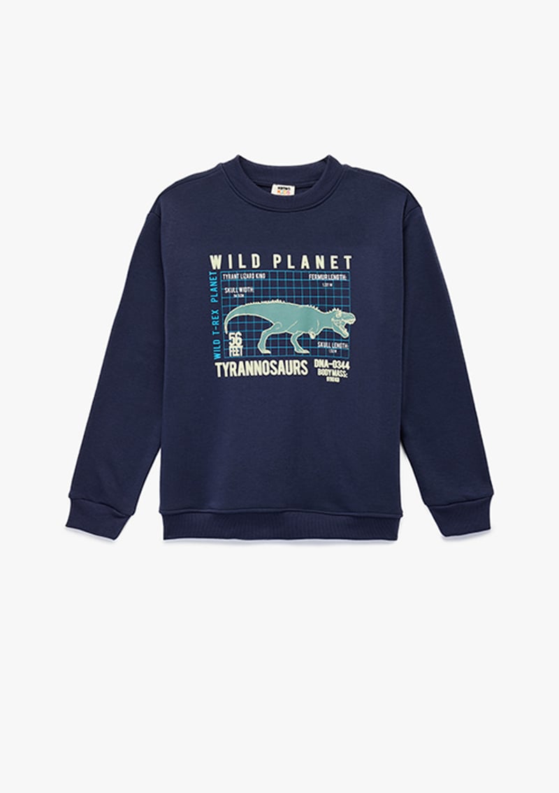 6Wkb10063Tk Erkek Çocuk Lacivert Sweatshirt