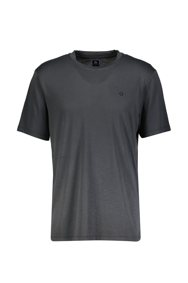 B34T10052 Erkek Antrasit Regular T-shirt